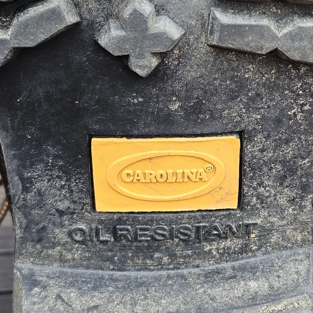 Carolina Elm 8